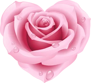 Pink Rose With Dew Drops.png PNG Image