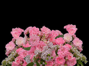 Pink Roses Bouquet Black Background PNG image with transparent background