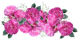 Pink Roses Bouquet Transparent Background PNG Image