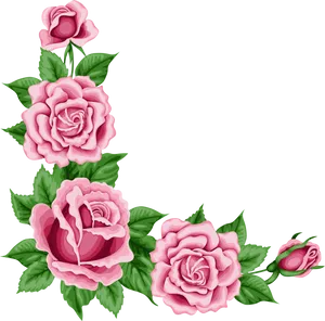 Pink Roses Corner Design PNG Image