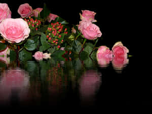 Pink_ Roses_ Reflection_ Water_ Surface PNG image with transparent background
