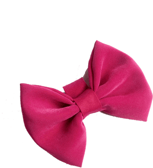 Bow Png Background - Satin, Transparent Png PNG