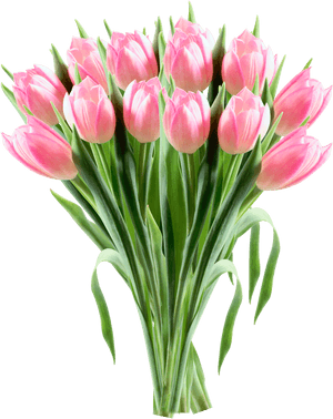 Tulip Flower Clip Art - Tulip Transparent Icon Png, Png Download PNG with transparent background