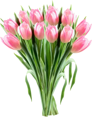 Pink Tulip Bouquet Transparent Background PNG Image