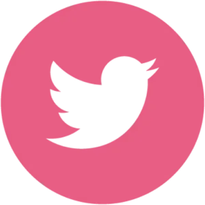 Pink Twitter Bird Logo PNG Image