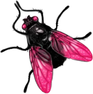 Pink Winged Fly Illustration PNG Image