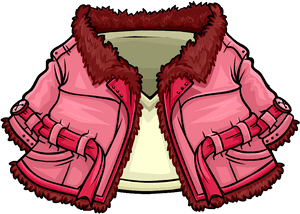 Image - Club Penguin Winter Coat, HD Png Download PNG image with transparent background
