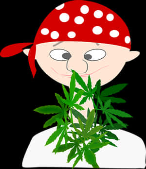 Pirate Cartoonwith Cannabis Leaf PNG image with transparent background