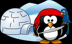 Pirate Penguinwith Treasure Igloo PNG image with transparent background