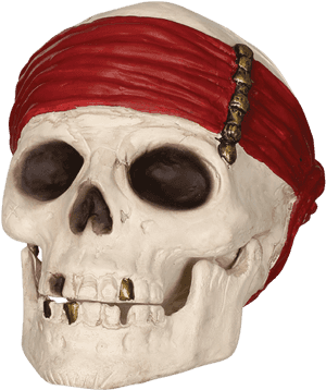 Pirate Skullwith Red Bandana PNG image with transparent background