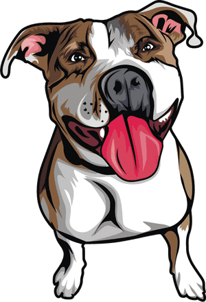 Pitbull Clipart Street Dog - Cartoon Pitbull Transparent, HD Png Download PNG image with transparent background