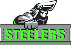 Pittsburgh Steelers PNG image with transparent background