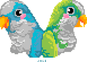 Pixel Quaker Parrots By Jale Soysal My - Pixel Quaker Parrot PNG image with transparent background