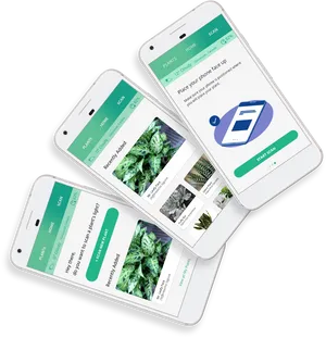 Plant Identification App Interface PNG Image