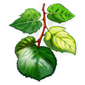 Plant Photosynthesis Process PNG 32 PNG image with transparent background