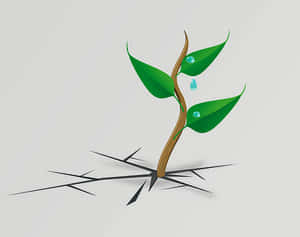 Plant PNG PNG Images