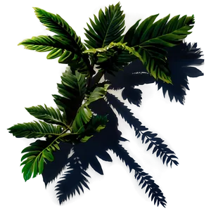 Plant Shadow Silhouette Png Lqx50 PNG Image