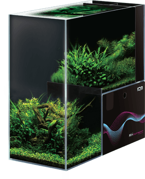 Dymax Iq9, HD Png Download PNG image with transparent background