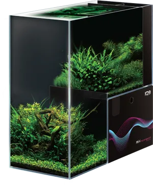 Planted Aquarium Cube Design PNG Image