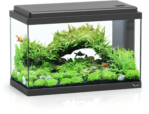 Aquarium 50 Led Bio - Aquatlantis Aquarium, HD Png Download PNG image with transparent background