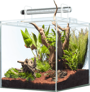Sera Scaper Cube, HD Png Download PNG image with transparent background