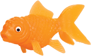 Plastic Goldfish - Squirting Goldfish, HD Png Download PNG image with transparent background