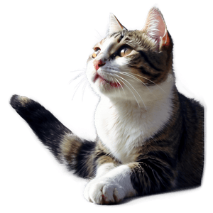 Playful Cat Illustration PNG scs79 PNG image with transparent background