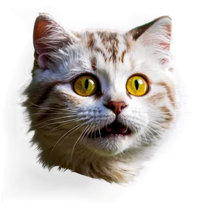 Playful Cat Png Qwx7 PNG Image