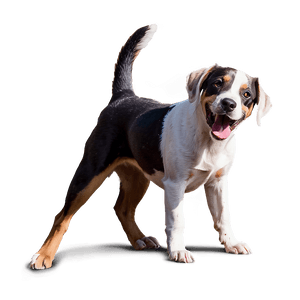Playful Dogs PNG 87 PNG image with transparent background