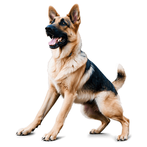 Playful German Shepherd PNG 06112024 PNG image with transparent background