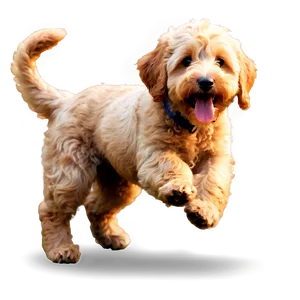 Playful Goldendoodle Png 06262024 PNG Image