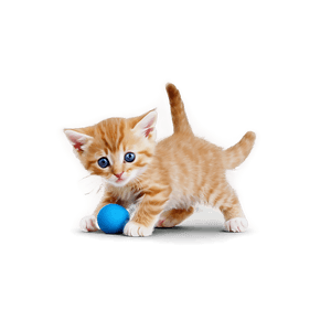 Playful Kitten PNG 46 PNG image with transparent background