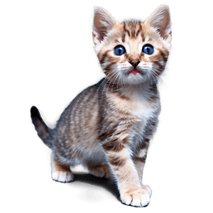 Playful Kitten PNG oxs PNG image with transparent background