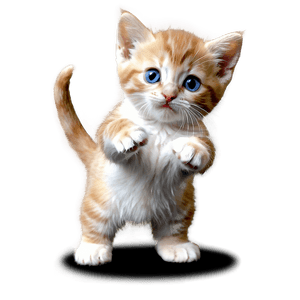 Playful Kitten PNG ueg44 PNG
