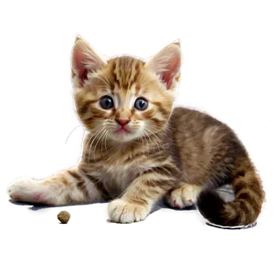 Playful Kittens Image Png Jsc PNG Image