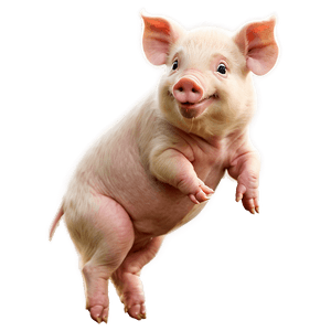 Playful Piglet PNG 06202024 PNG image with transparent background