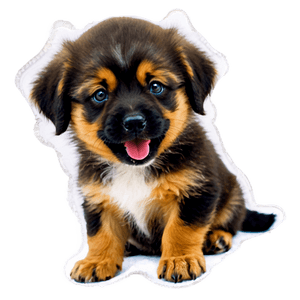 Playful Puppy PNG 05062024 PNG image with transparent background