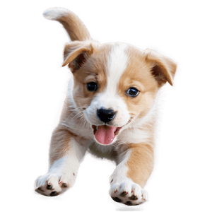 Playful Puppy PNG 35 PNG