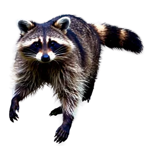 Playful Raccoon Png 46 PNG Image