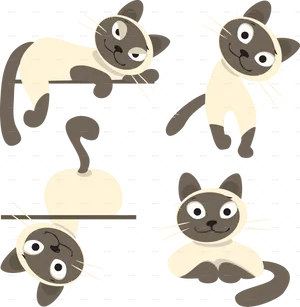 Playful Siamese Cats Pattern PNG Image