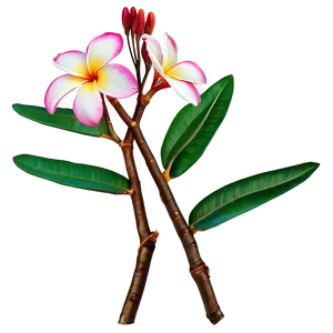 Plumeria Branch Png Hve PNG Image