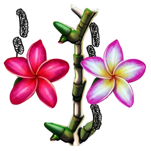 Plumeria Illustration Png 71 PNG Image