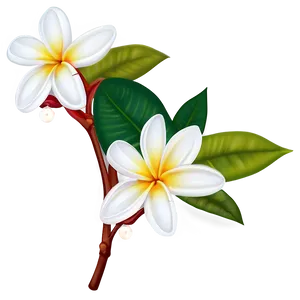 Plumeria Illustration Png Pmy45 PNG Image