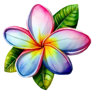 Plumeria Watercolor Png Ejd PNG Image