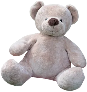 Plush Teddy Bear Isolated PNG Image