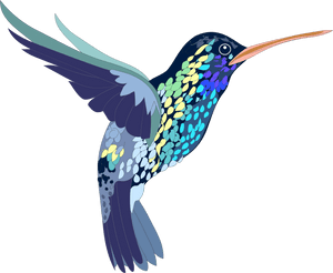 Png, Bird, Hummingbird, Colorful, Illustration, Shapes - Realistic Animal Clip Art, Transparent Png PNG image with transparent background