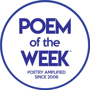 Circle, HD Png Download PNG with transparent background