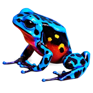 Poison Dart Frog B PNG Image