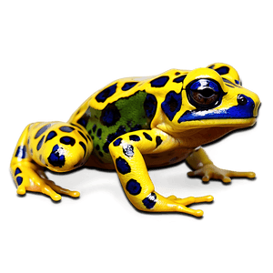 Poison Dart Frog PNG gat PNG