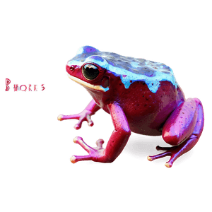 Poison Dart Frog PNG krh41 PNG